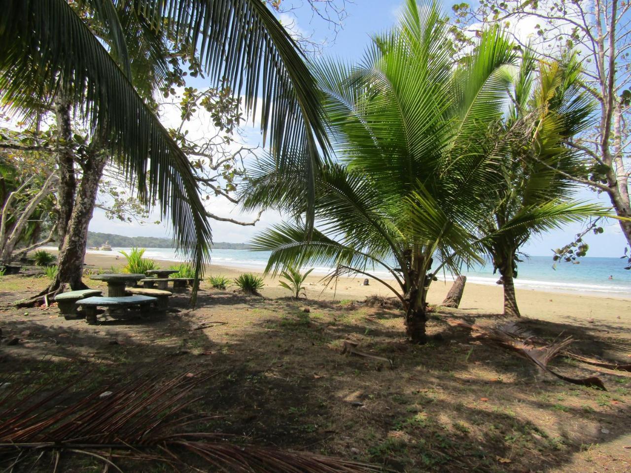 Pineapple House Manzanillo Villa Exterior photo